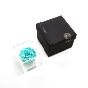 Rosa stabilizzata FlowerCube in cubo trasparente