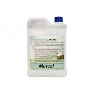 Detergente concentrato per idropulitrice Lavor Muscal 2L
