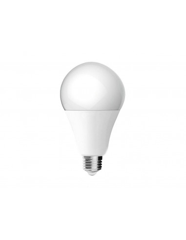 Lampadina-LED-30W-A110-E27