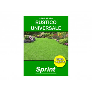 Semi prato Rustico Universale Sprint per tutti i terreni