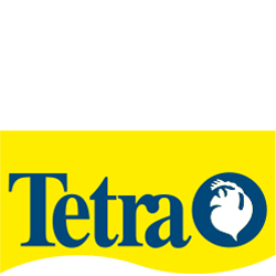 Tetra