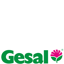 Gesal