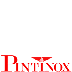 Pintinox