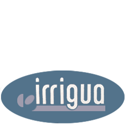 Irrigua