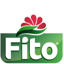 Fito