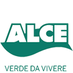 Alce