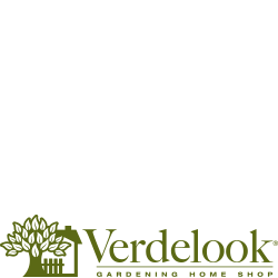 Verdelook